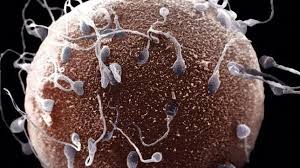 Concepción: Un Viaje Complejo hacia la Nueva Vida